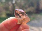 Natural Aegirine Crystals with Associated Minerals x 41 From Zomba, Malawi