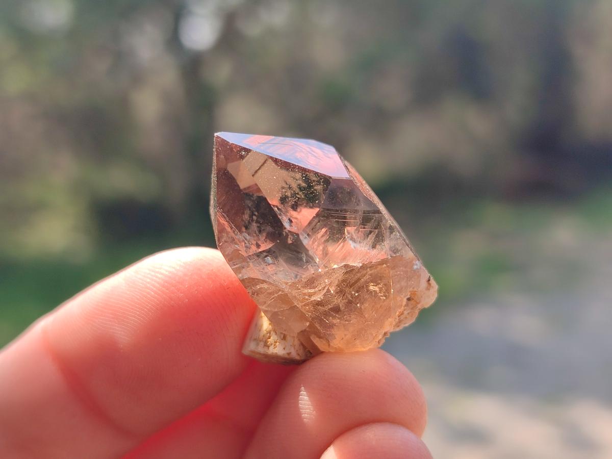 Natural Aegirine Crystals with Associated Minerals x 41 From Zomba, Malawi