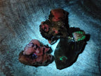 Natural Aegirine Crystals with Associated Minerals x 41 From Zomba, Malawi