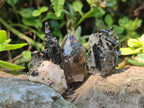 Natural Aegirine Crystals with Associated Minerals x 41 From Zomba, Malawi