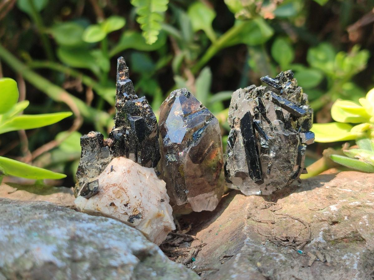 Natural Aegirine Crystals with Associated Minerals x 41 From Zomba, Malawi