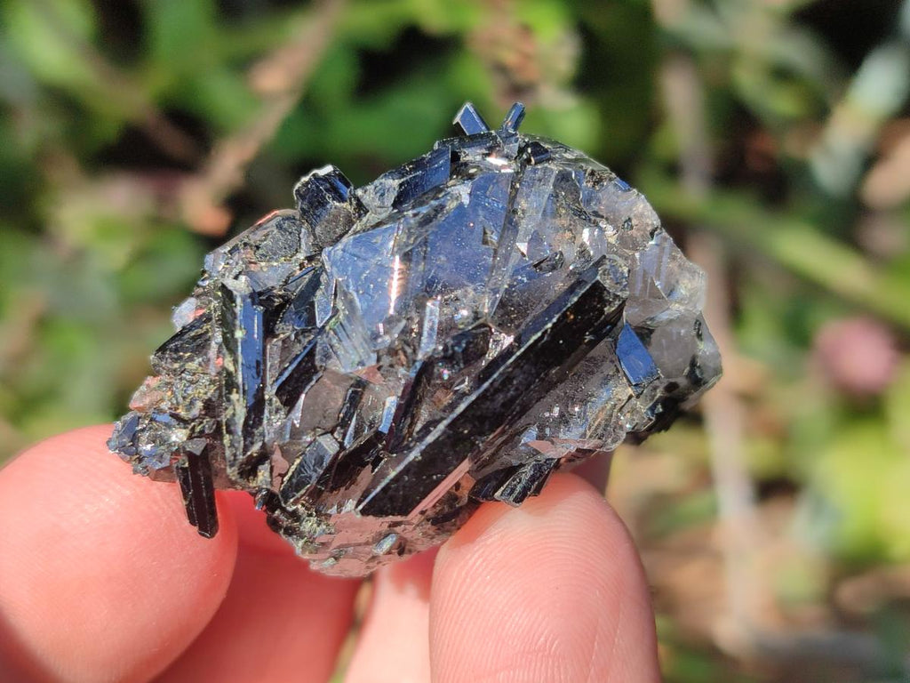 Natural Aegirine Crystals with Associated Minerals x 41 From Zomba, Malawi