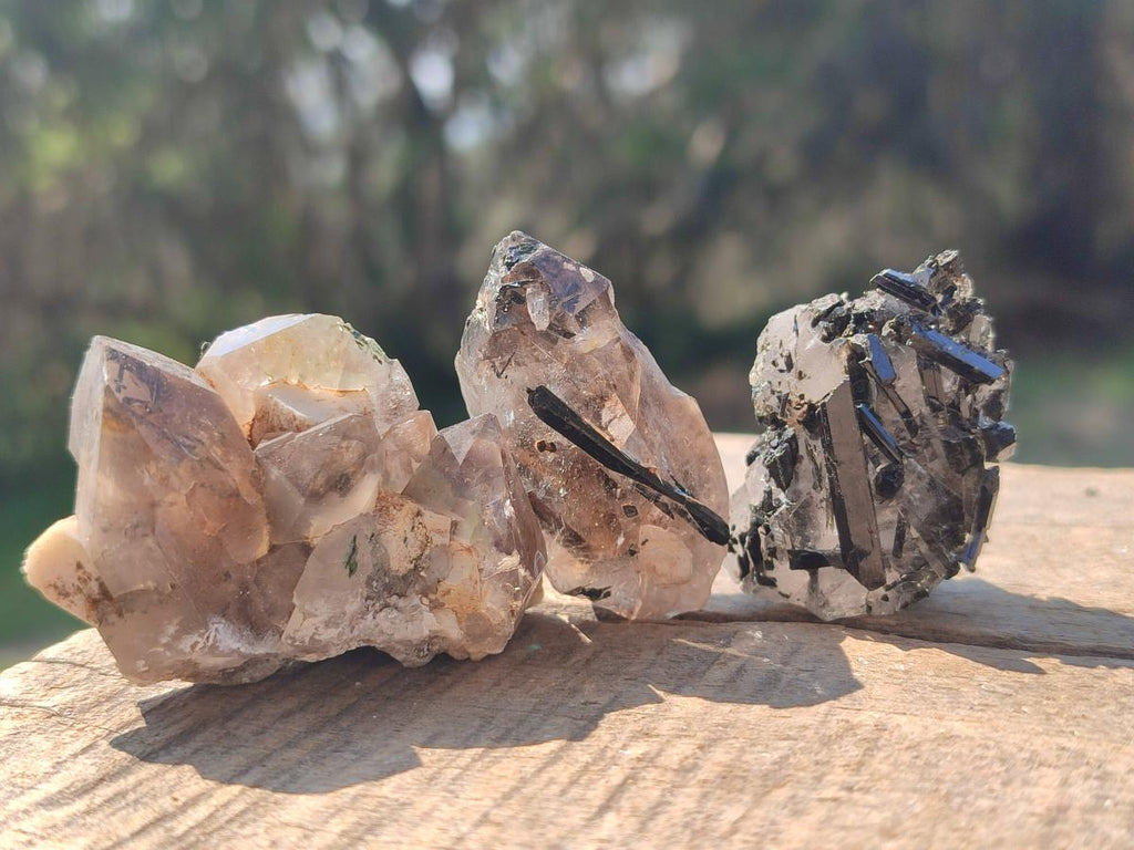 Natural Aegirine Crystals with Associated Minerals x 41 From Zomba, Malawi
