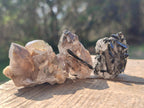 Natural Aegirine Crystals with Associated Minerals x 41 From Zomba, Malawi