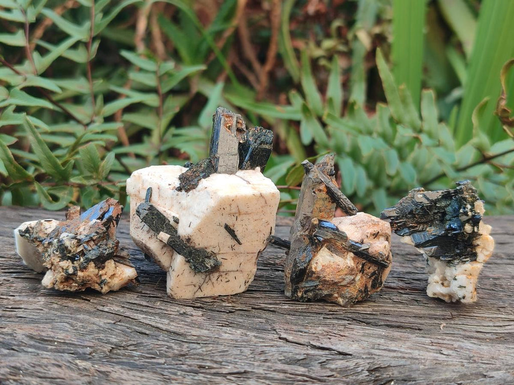 Natural Aegirine Crystals with Associated Minerals x 41 From Zomba, Malawi