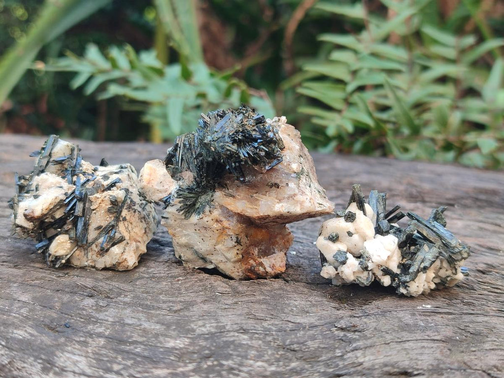 Natural Aegirine Crystals with Associated Minerals x 41 From Zomba, Malawi