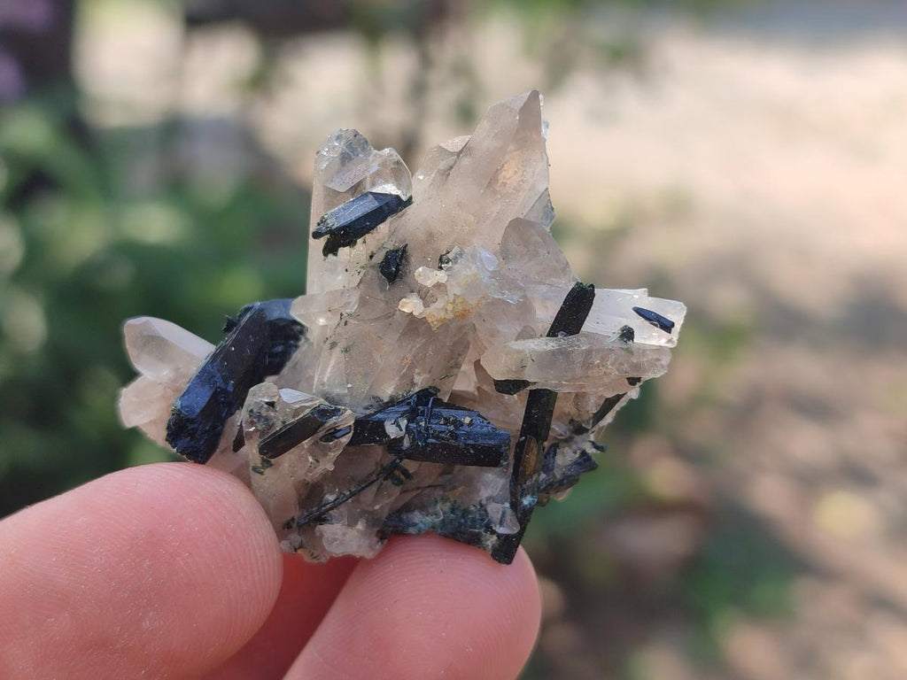 Natural Aegirine Crystals with Associated Minerals x 41 From Zomba, Malawi