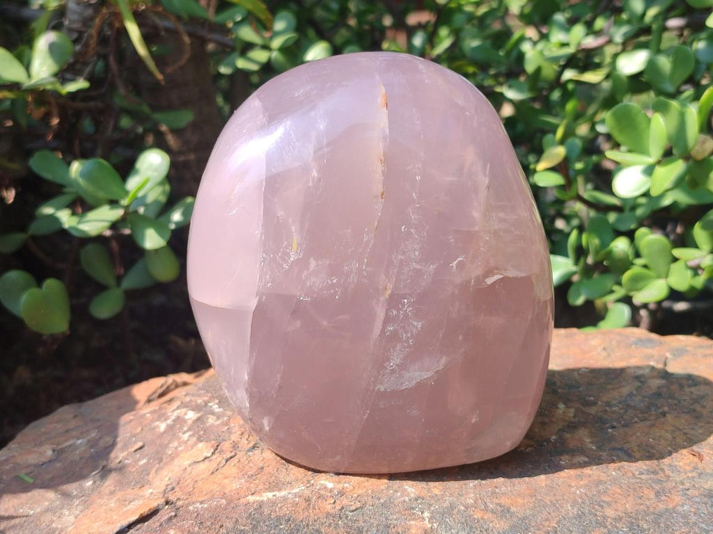 Polished Large Gemmy Rose Quartz Standing Display Piece x 1 From Madagascar