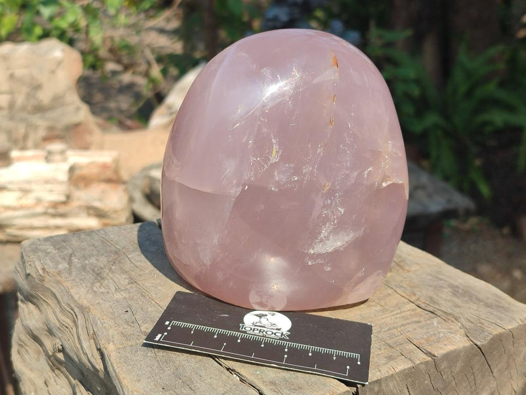 Polished Large Gemmy Rose Quartz Standing Display Piece x 1 From Madagascar