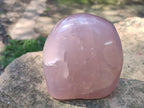 Polished Large Gemmy Rose Quartz Standing Display Piece x 1 From Madagascar