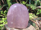 Polished Large Gemmy Rose Quartz Standing Display Piece x 1 From Madagascar