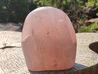 Polished Large Gemmy Rose Quartz Standing Display Piece x 1 From Madagascar