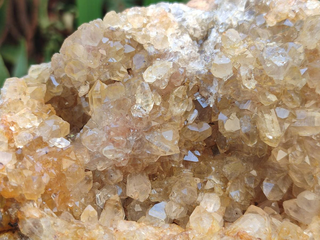 Natural Golden Limonite Quartz Clusters x 4 From Solwezi, Zambia