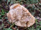 Natural Golden Limonite Quartz Clusters x 4 From Solwezi, Zambia