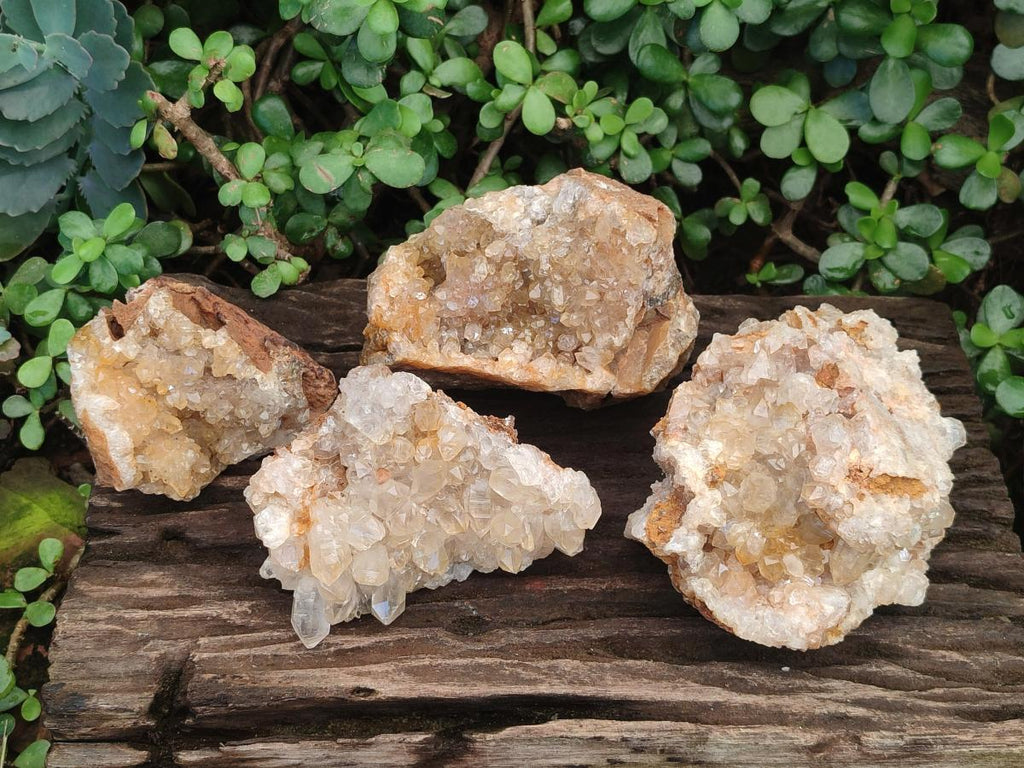 Natural Golden Limonite Quartz Clusters x 4 From Solwezi, Zambia