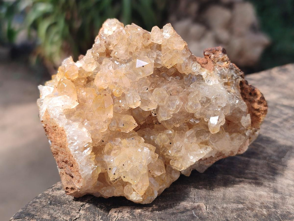 Natural Golden Limonite Quartz Clusters x 4 From Solwezi, Zambia