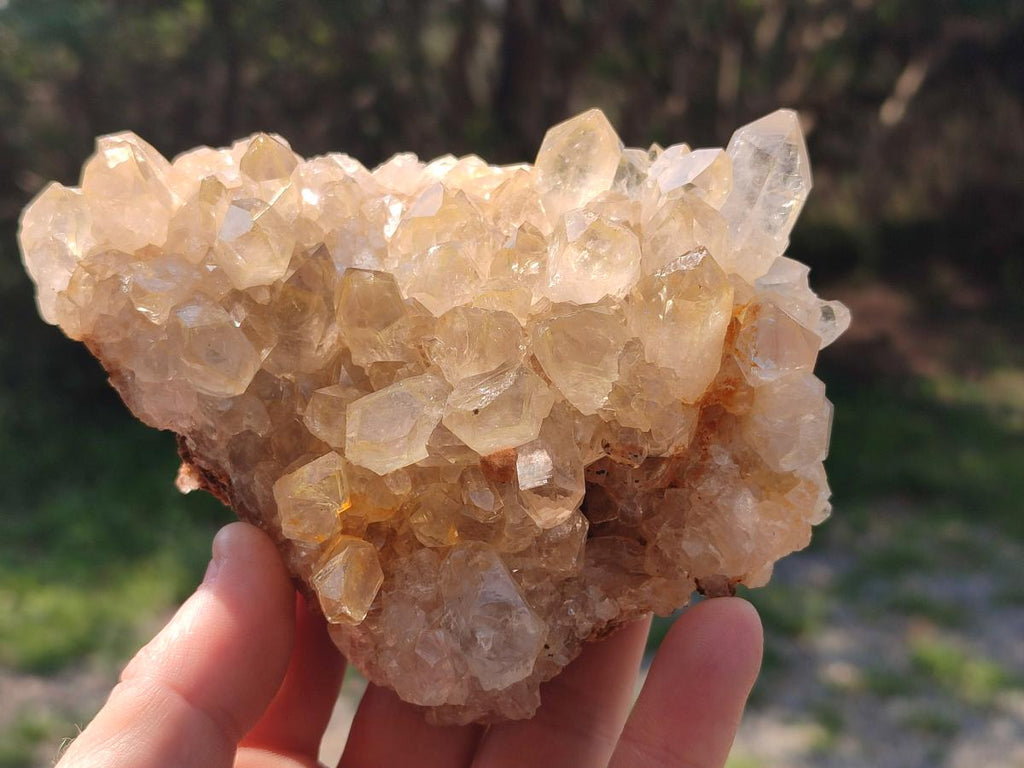 Natural Golden Limonite Quartz Clusters x 4 From Solwezi, Zambia