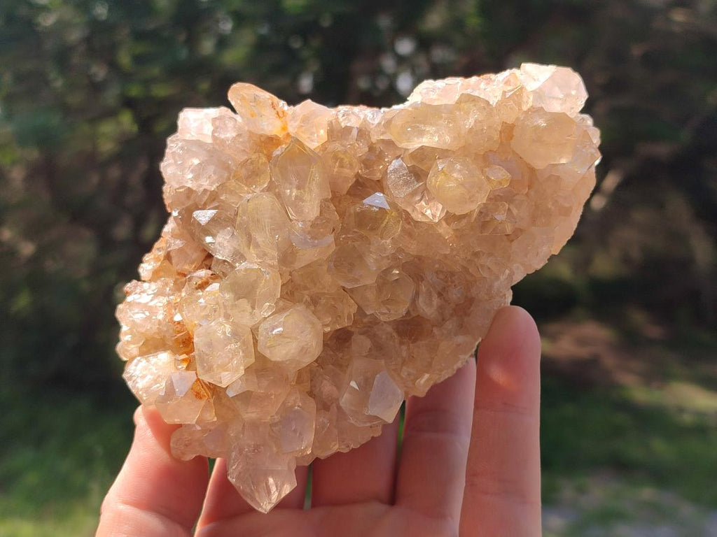Natural Golden Limonite Quartz Clusters x 4 From Solwezi, Zambia