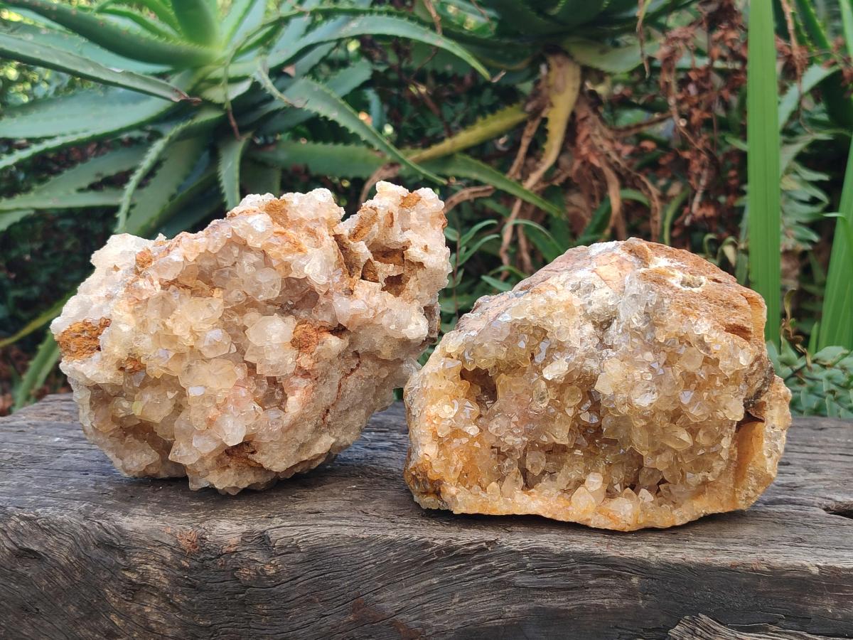 Natural Golden Limonite Quartz Clusters x 4 From Solwezi, Zambia