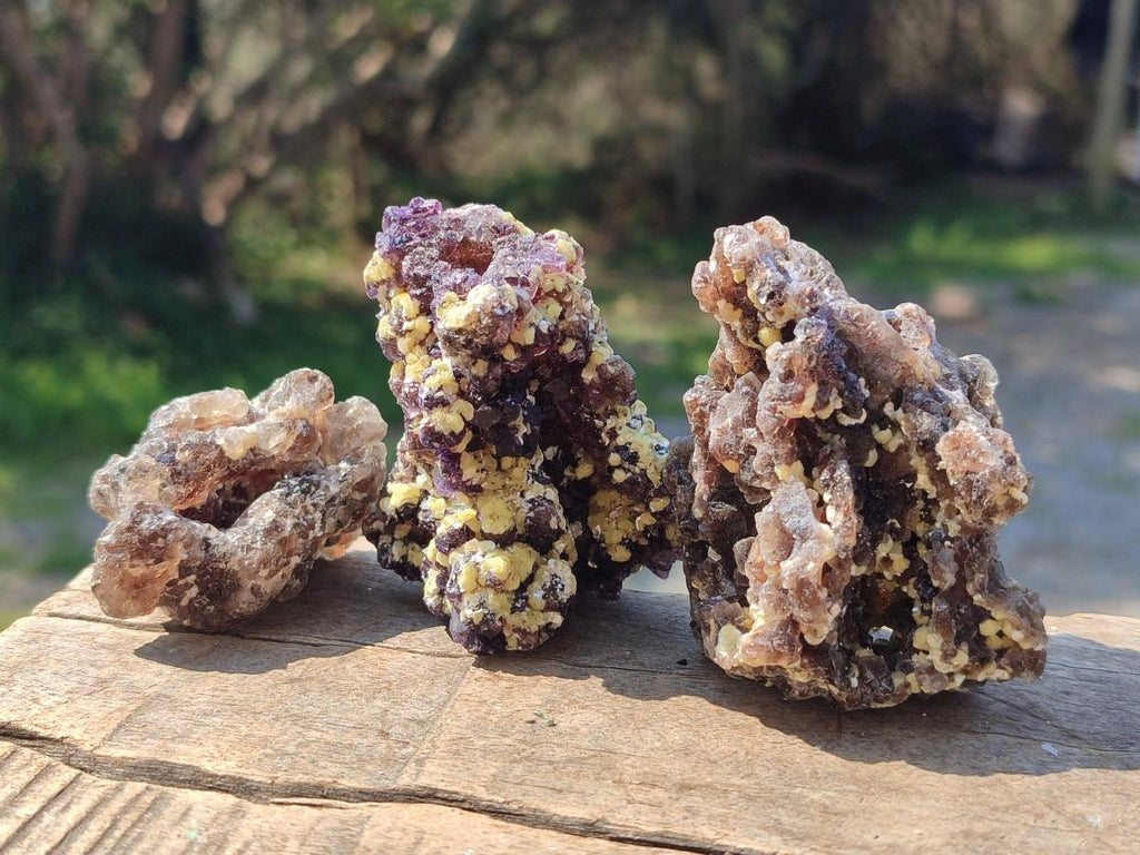 Natural Smokey Fluorite Specimens with Yellow Muscovite Mica x 12 From Erongo, Namibia