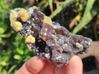 Natural Smokey Fluorite Specimens with Yellow Muscovite Mica x 12 From Erongo, Namibia