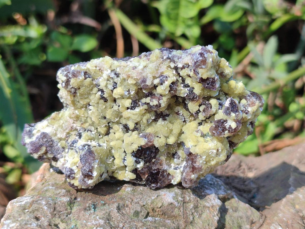 Natural Smokey Fluorite Specimens with Yellow Muscovite Mica x 12 From Erongo, Namibia
