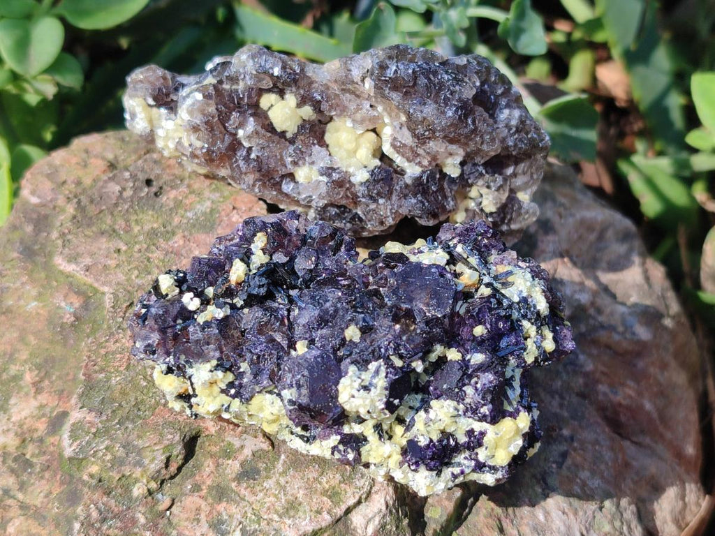 Natural Smokey Fluorite Specimens with Yellow Muscovite Mica x 12 From Erongo, Namibia