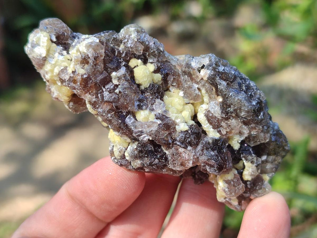 Natural Smokey Fluorite Specimens with Yellow Muscovite Mica x 12 From Erongo, Namibia
