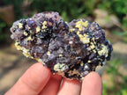 Natural Smokey Fluorite Specimens with Yellow Muscovite Mica x 12 From Erongo, Namibia