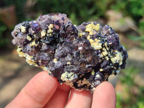 Natural Smokey Fluorite Specimens with Yellow Muscovite Mica x 12 From Erongo, Namibia