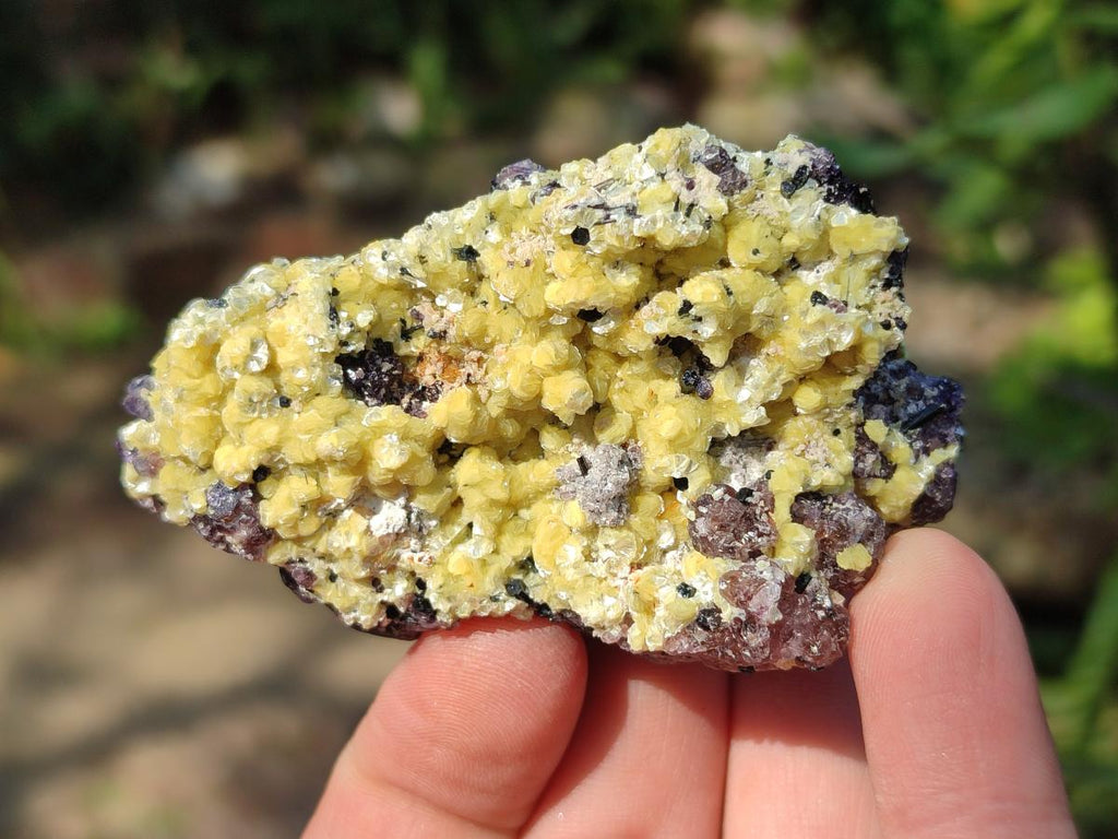 Natural Smokey Fluorite Specimens with Yellow Muscovite Mica x 12 From Erongo, Namibia