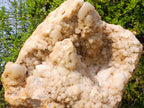 Natural XL Cascading "Anananas" Candle Quartz Cluster x 1 From Antsirabe, Madagascar