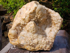 Natural XL Cascading "Anananas" Candle Quartz Cluster x 1 From Antsirabe, Madagascar