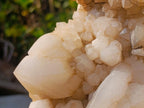 Natural XL Cascading "Anananas" Candle Quartz Cluster x 1 From Antsirabe, Madagascar