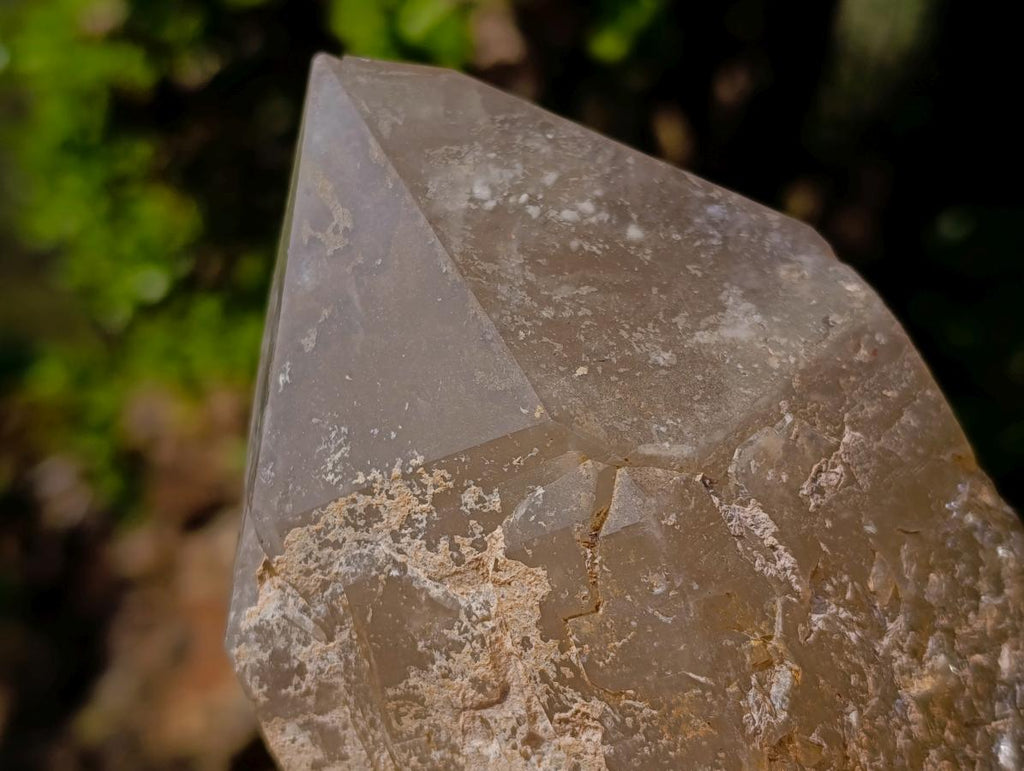 Natural Mix of Smokey Quartz Specimens with Inclusions x 2 From Erongo, Namibia
