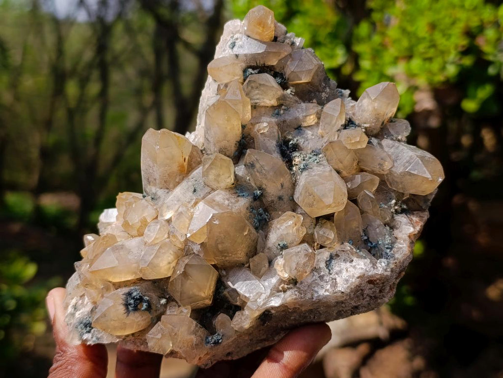 Natural Mix of Smokey Quartz Specimens with Inclusions x 2 From Erongo, Namibia