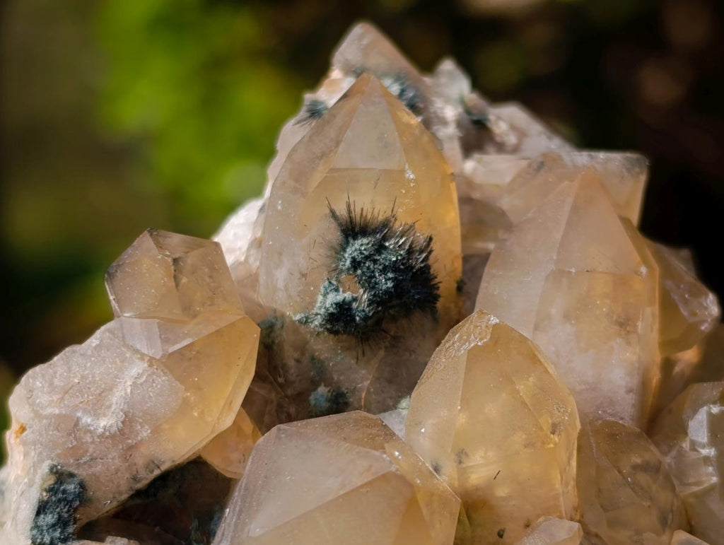 Natural Mix of Smokey Quartz Specimens with Inclusions x 2 From Erongo, Namibia
