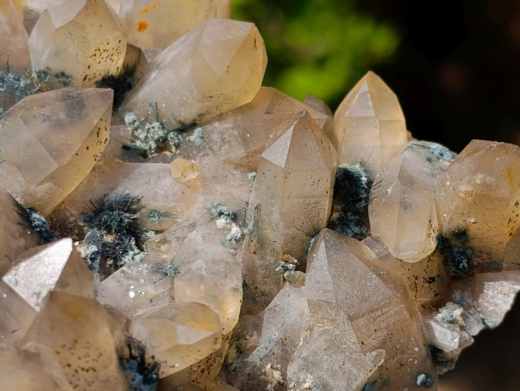 Natural Mix of Smokey Quartz Specimens with Inclusions x 2 From Erongo, Namibia