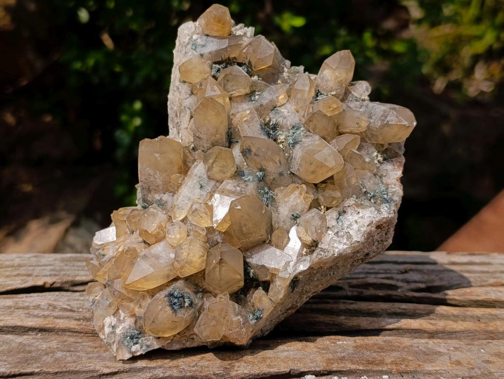 Natural Mix of Smokey Quartz Specimens with Inclusions x 2 From Erongo, Namibia