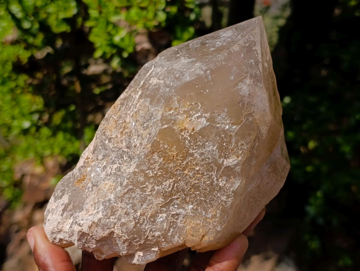 Natural Mix of Smokey Quartz Specimens with Inclusions x 2 From Erongo, Namibia