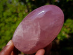 Polished Gemmy Rose Quartz Standing Display Pieces x 4 From Madagascar
