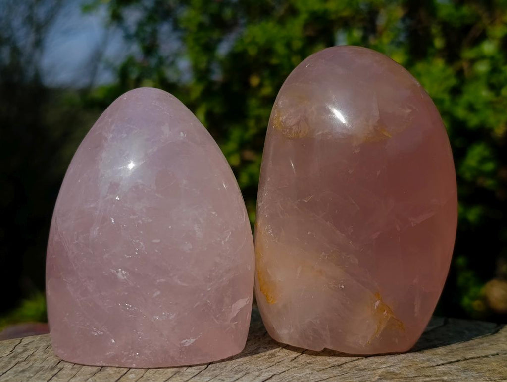 Polished Gemmy Rose Quartz Standing Display Pieces x 4 From Madagascar