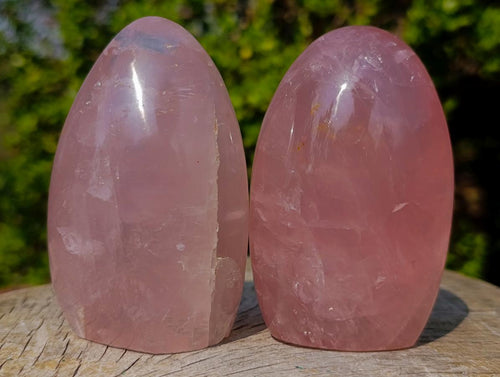 Polished Gemmy Rose Quartz Standing Display Pieces x 4 From Madagascar