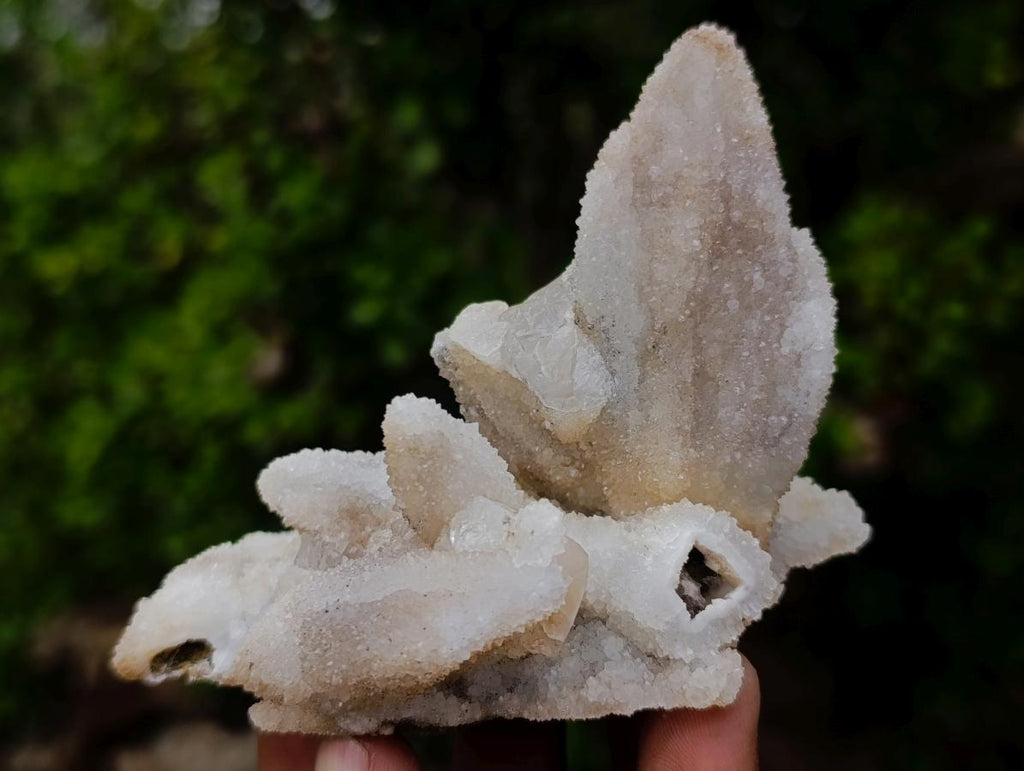Natural Drusy Quartz Coated Calcite Crystal and Cluster Specimens x 8 From Albert's Mountain, Lesotho