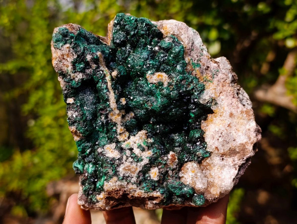 Natural Ball Malachite Specimens with Drusy Quartz on Dolomite x 2 From Mindingi Mine, Kambove, Congo