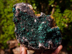 Natural Ball Malachite Specimens with Drusy Quartz on Dolomite x 2 From Mindingi Mine, Kambove, Congo