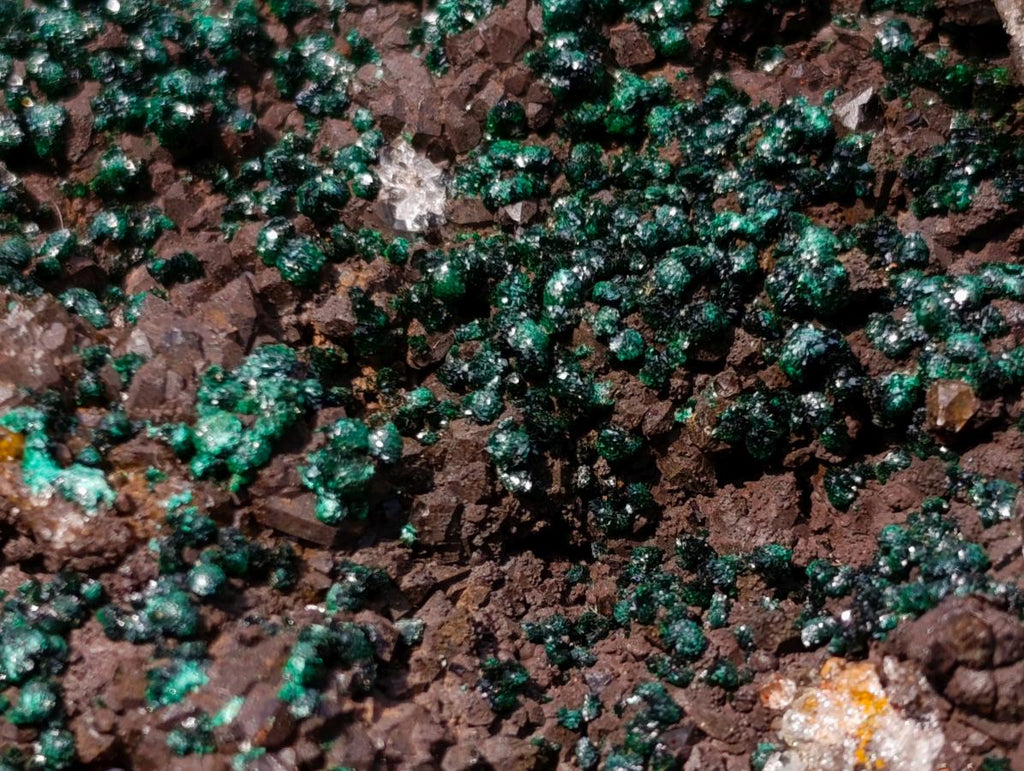 Natural Ball Malachite Specimens with Drusy Quartz on Dolomite x 2 From Mindingi Mine, Kambove, Congo