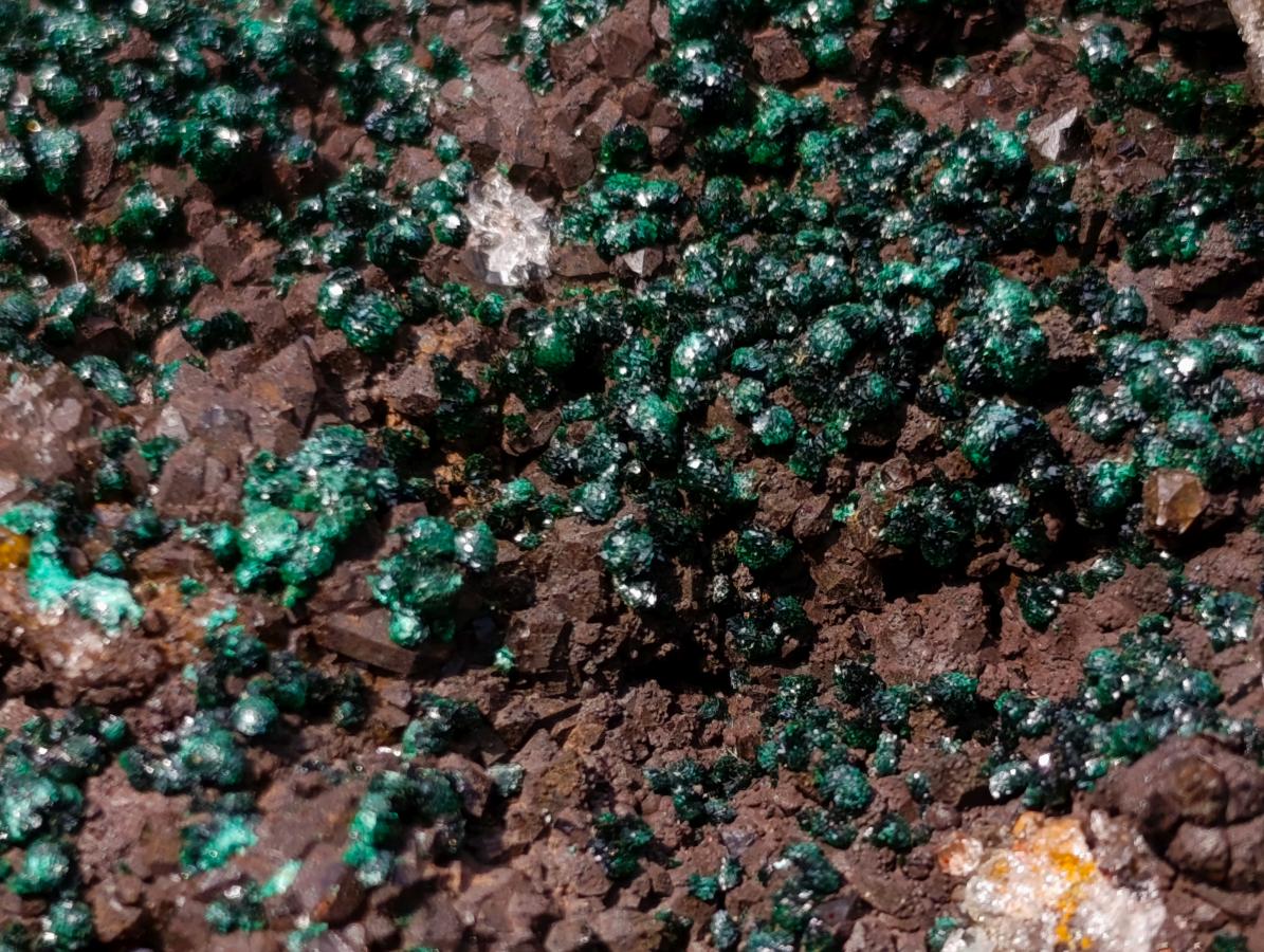Natural Ball Malachite Specimens with Drusy Quartz on Dolomite x 2 From Mindingi Mine, Kambove, Congo