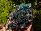 Natural Ball Malachite Specimens with Drusy Quartz on Dolomite x 2 From Mindingi Mine, Kambove, Congo