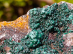 Natural Ball Malachite Specimens with Drusy Quartz on Dolomite x 2 From Mindingi Mine, Kambove, Congo